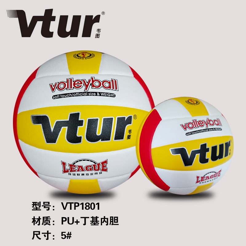 No. 5 Standard Game Training Ball